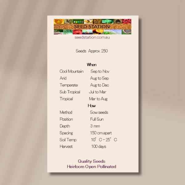 cape-gooseberry-back cape-gooseberry-back