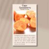 cape-gooseberry-front