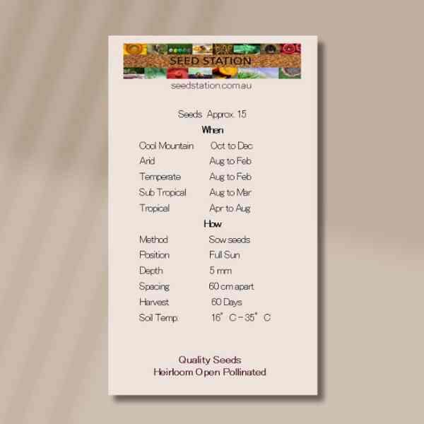 cucumber-biet-alpha-seeds-back cucumber-biet-alpha-seeds-back