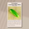 cucumber-biet-alpha-seeds-front