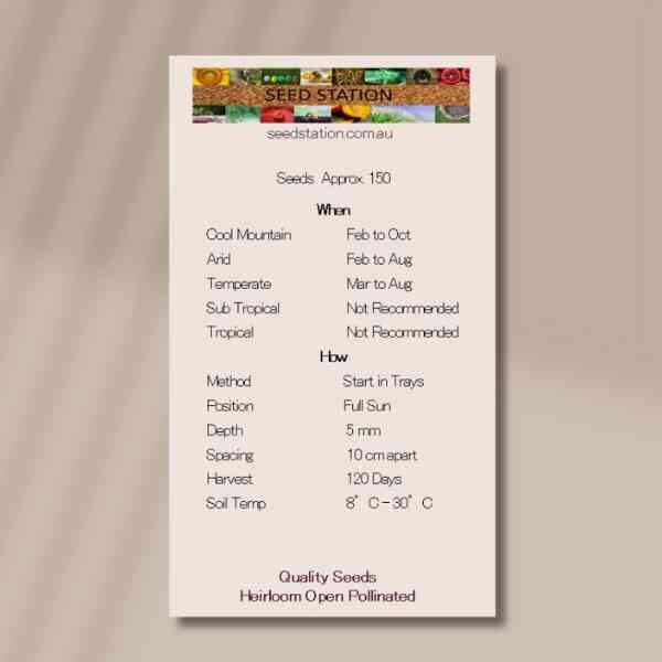 onion-gladalan-seeds-back onion-gladalan-seeds-back