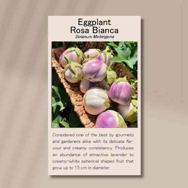 rosa-bianca-front rosa-bianca-front