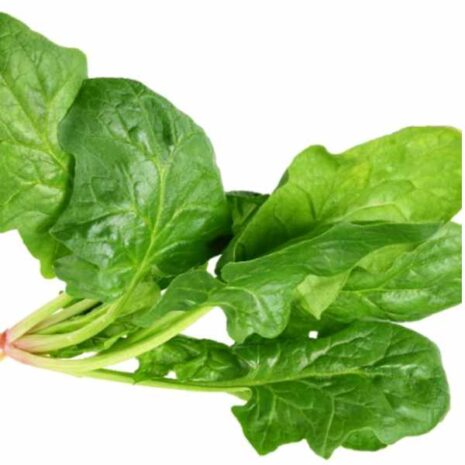 spinach-english-giant-winter-seeds
