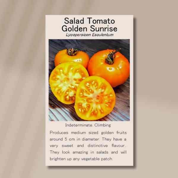 tomato-golden-sunrise-front tomato-golden-sunrise-front