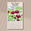 corn-flower-red-ball-seed-packet-front