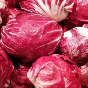 Radicchio