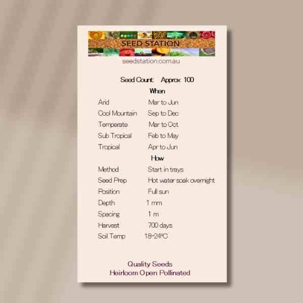 indigo-back indigo-back