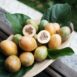 golden-passionfruit
