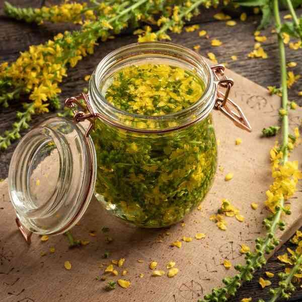 agrimonia-seeds=1 agrimonia-seeds=1