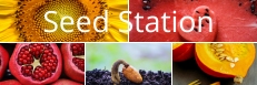 Seed Station