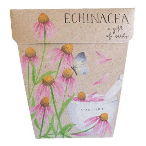 echinacea-gift-of-seeds