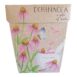 echinacea-gift-of-seeds