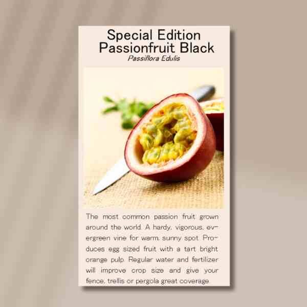 black-passion-fruit-front black-passion-fruit-front