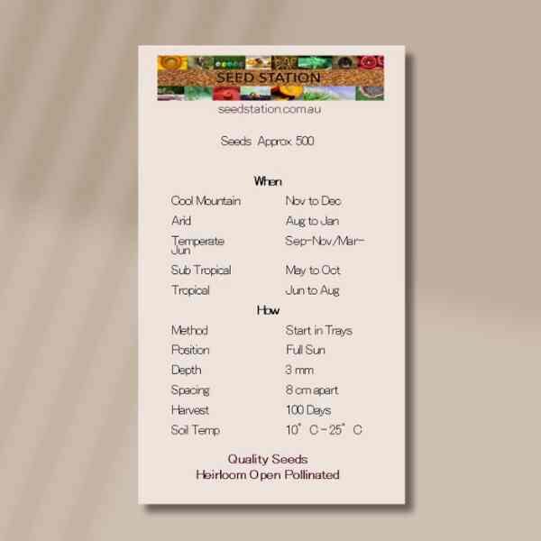 rudbeckia-gloriosa-seeds-front rudbeckia-gloriosa-seeds-front