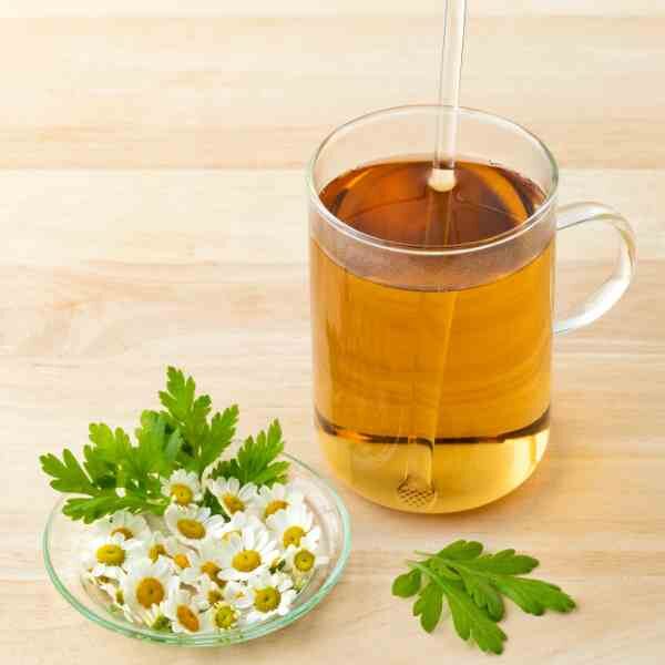herb-feverfew-seeds-3 herb-feverfew-seeds-3