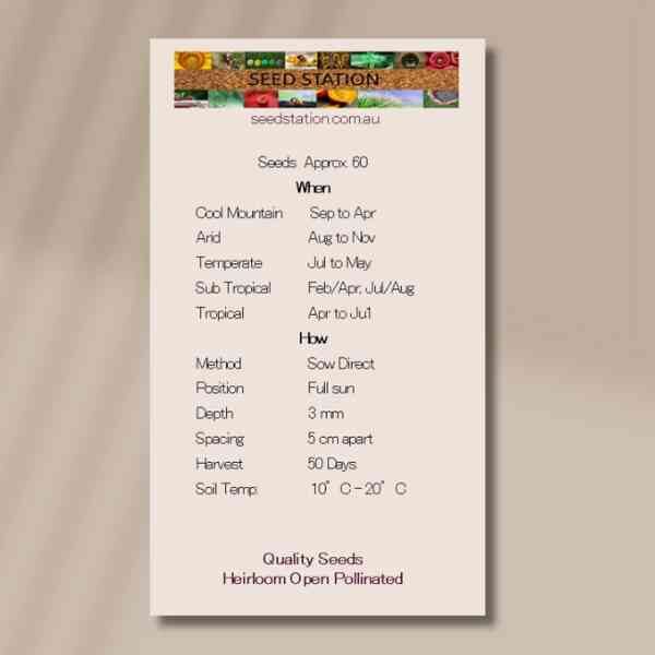 purplette-pickling-onion-seed-packet-front purplette-pickling-onion-seed-packet-front