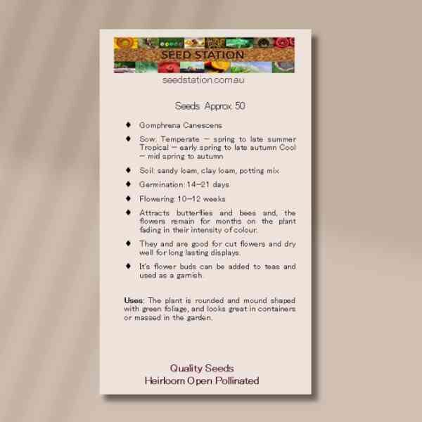 pink-billy-buttons-packet-back-2 pink-billy-buttons-packet-back-2