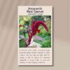 amaranth-red-garnet-1