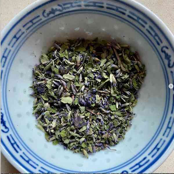 korean-mint-seeds-7 korean-mint-seeds-7