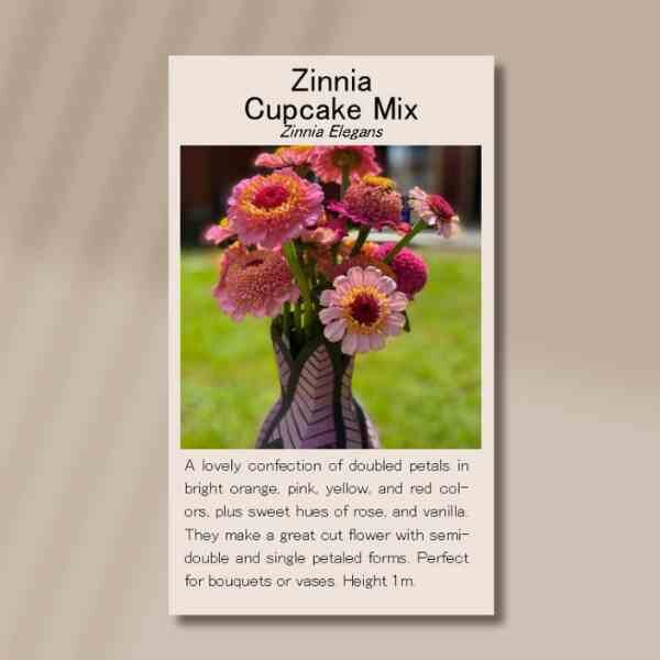 zinnia-cupcake-front zinnia-cupcake-front