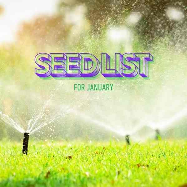 seed list jan