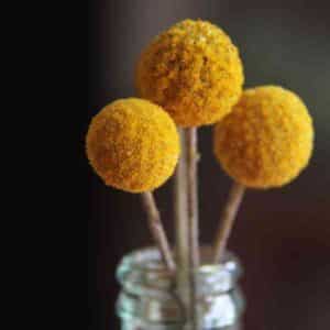 Billy Buttons