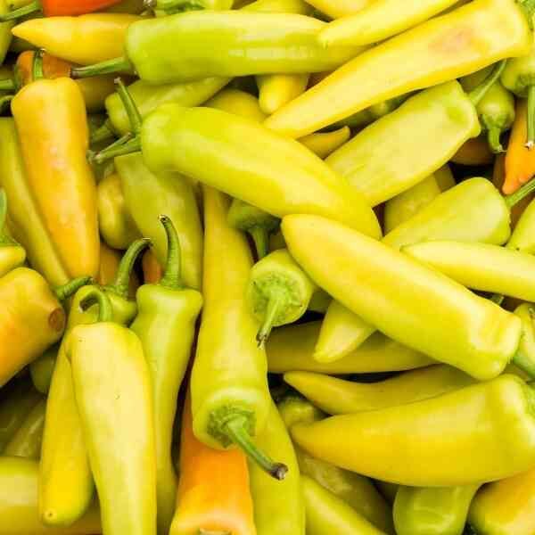 chilli-hungarian-hot-wax-seeds-1 chilli-hungarian-hot-wax-seeds-1