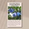 native-climbing-bluebell-seeds-front (1)