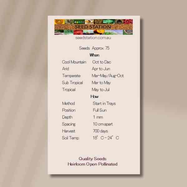 native-climbing-bluebell-seeds-front native-climbing-bluebell-seeds-front