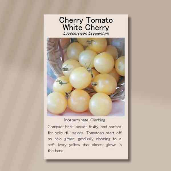 tomato-white-cherry-seeds-front tomato-white-cherry-seeds-front