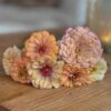 seven flower heads of zinnia rosy lavender on a timber tray