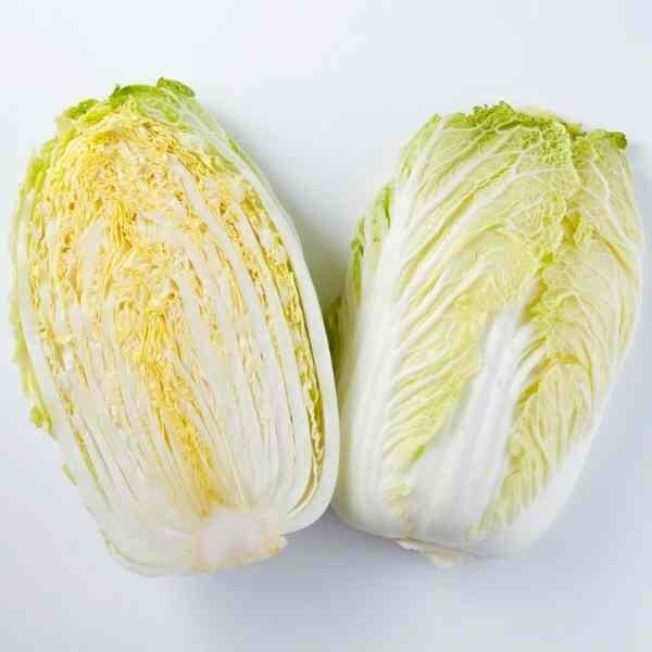 cabbage-wong-bok-seeds-4 cabbage-wong-bok-seeds-4