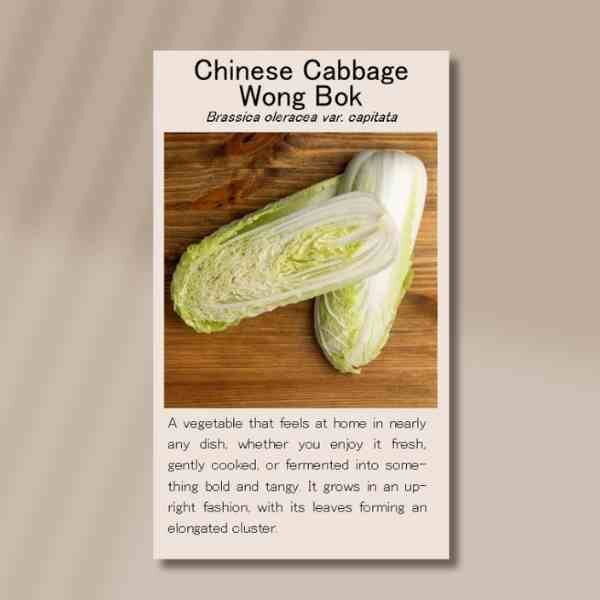 wong-bok-front wong-bok-front