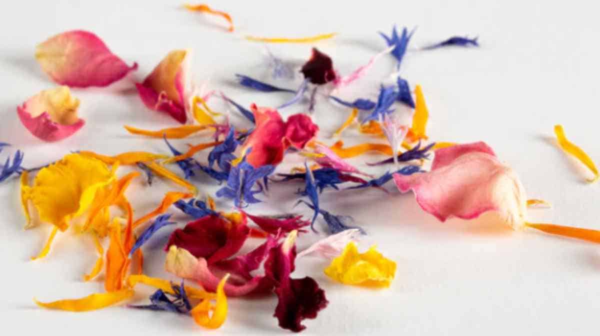 post edible flowers confetti flowers dried