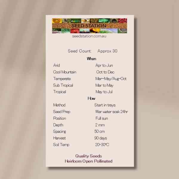 wild-bush-tomato-back wild-bush-tomato-back