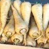 parsnip-demeter-seeds-4
