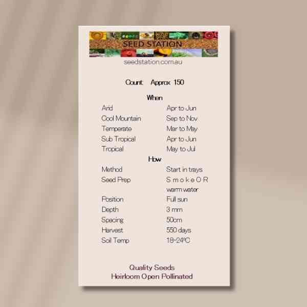 kangeroo-paw-back kangeroo-paw-back