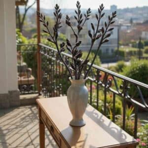 native-blood-root-seeds-2