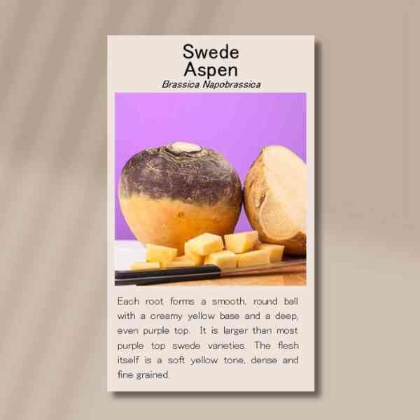 swede-aspen-front swede-aspen-front
